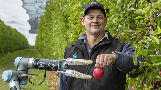 Brad has been involved in a trial of Monash Uni's apple picking robot, which is in its second stage. Picture: Zoe Phillips