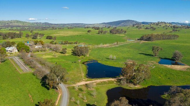 The Ireland Angus stud has listed its 170ha farm in the Riverina for sale.