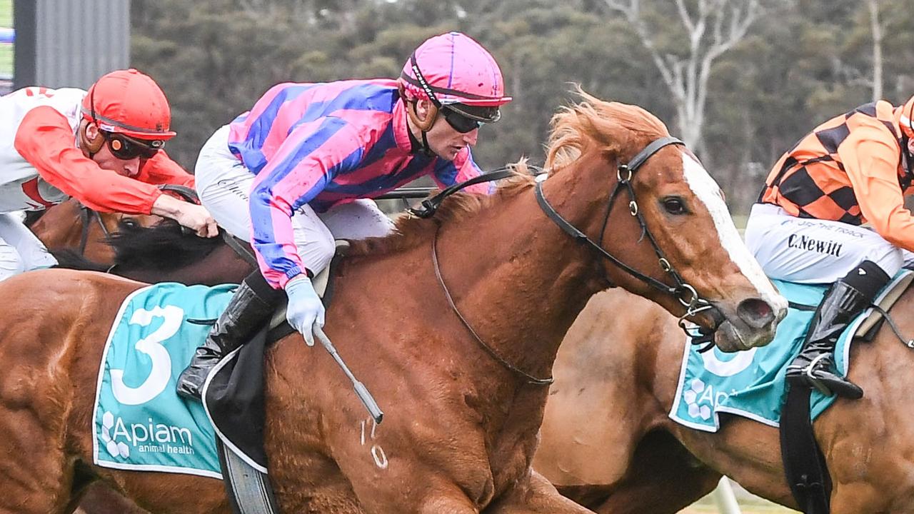 Silks, Events & Functions 2YO Fillies Maiden Plate