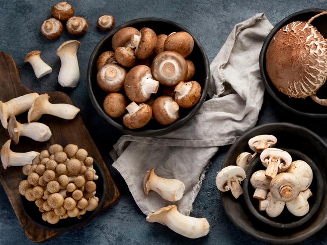 Variety of raw mushrooms on dark background. Vegan food cocnept. Top view, flat lay, copy space