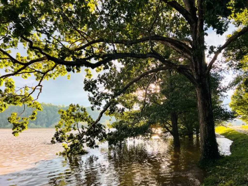 Floodwater from the French Broad River covers low-lying fields near Antler Hill Village on the Biltmore Estate. Picture: The Biltimore Company