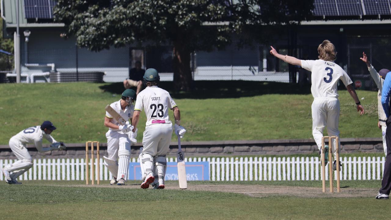 Geelong appeal for a wicket against Camberwell. Picture: Carey Neate.