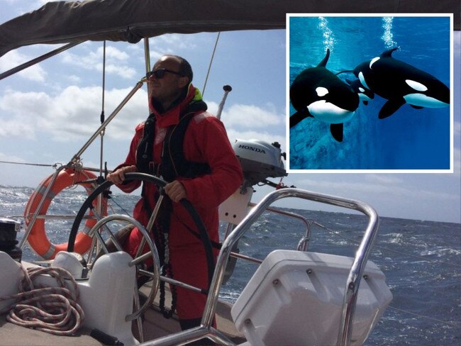A pod of killer whales attacked a boat in the Gibraltar Strait, sinking the yacht in the fourth incident of its kind in just two years.