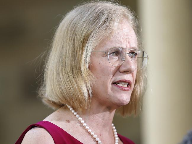 Brisbane, Australia,  NewsWire Photos January 4th 2021.  QueenslandÃs Chief Health Officer Dr Janette Young pictured addressing the media at Parliament House.   Picture: NCA NewsWire / Josh Woning.