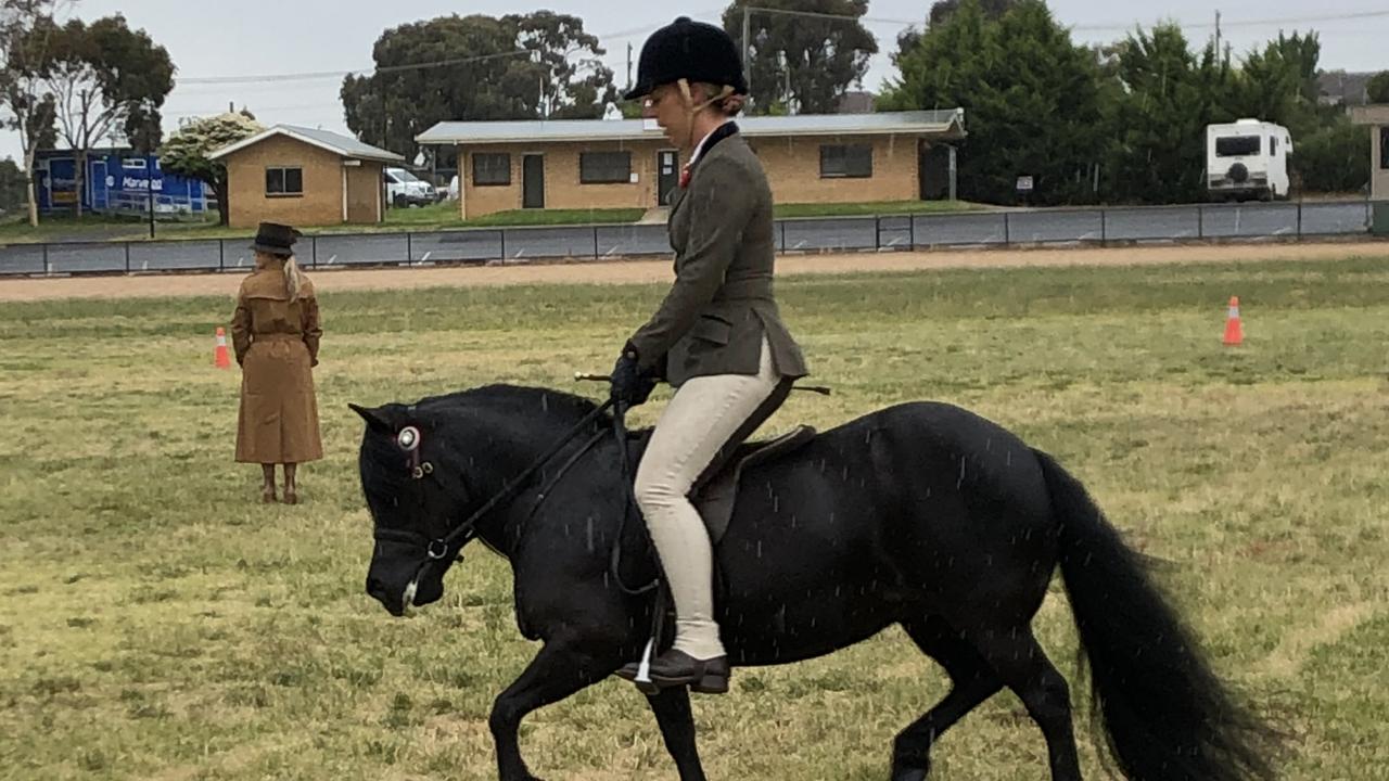 A rider competing on the field at the Victorian All Shetland Show at Bendigo Showgrounds on Dec 11, 2022.