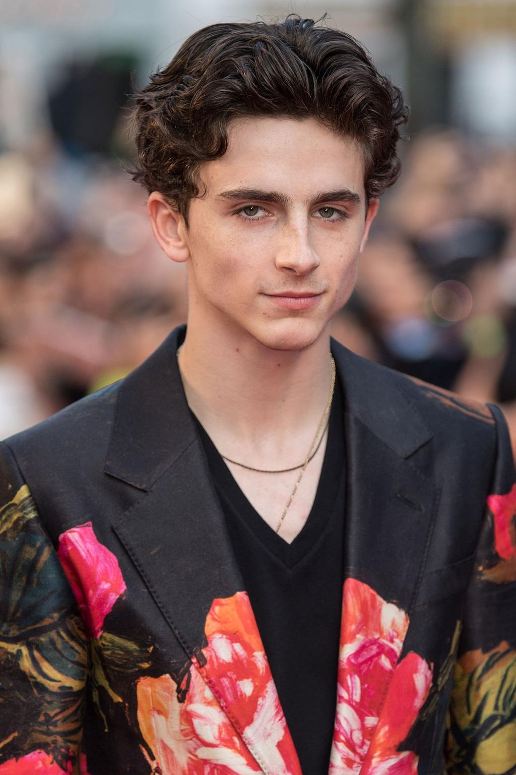How Timothée Chalamet is ushering in a new era for masculinity - Vogue  Australia