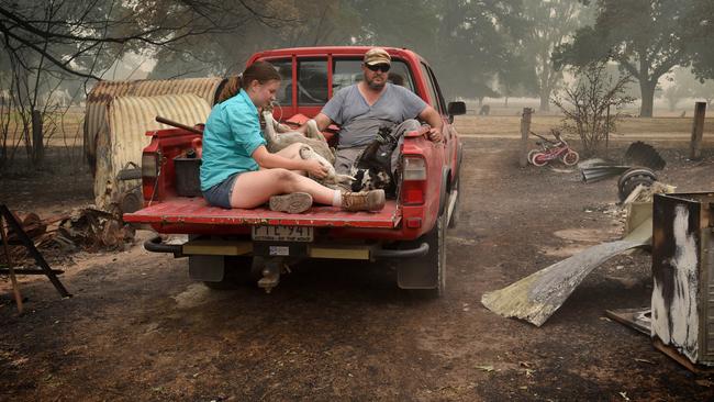 Sheep being rescued by local residents. Picture: Tony Gough