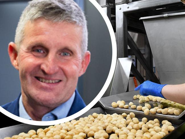 Marquis Macadamias Northern Rivers Processing plant with CEO Charles Cormack insert.