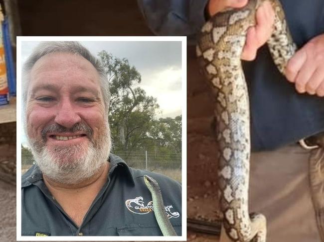 Snake bite surge: 15 strikes in days across Qld