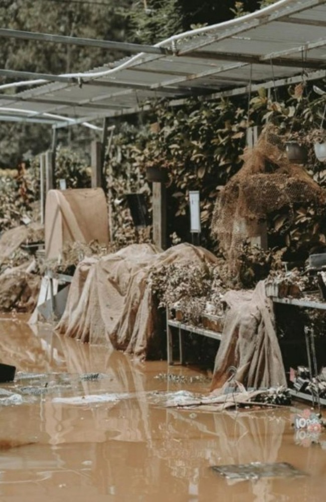 Brookfield Gardens nursery reopened quickly despite massive damage.