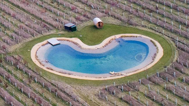 ‘Wildlife pond’ or swimming pool?