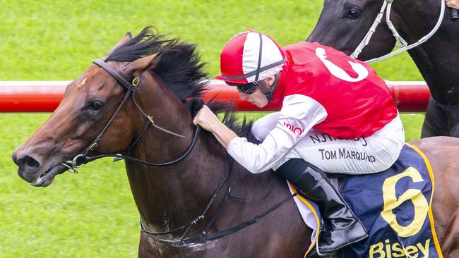 Southern Lad has good form around Everest contender Classique Legend. Picture: Getty Images