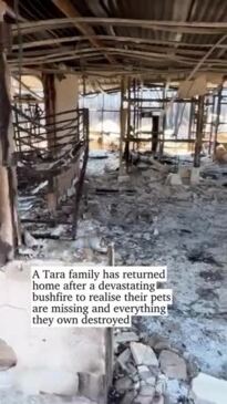 Watch family's heartbreaking return after Tara fire