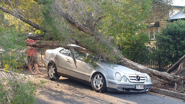 A Mercedes was crushed by a tree branch in storm at Bulimba last night.