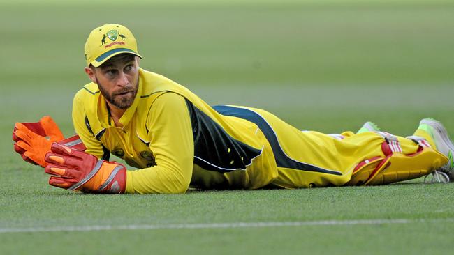 Matthew Wade has officially signed with Tasmania.