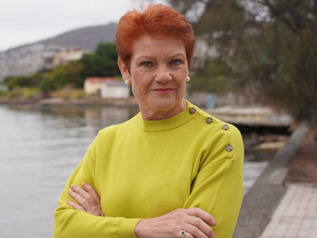 One Nation Leader Pauline Hanson. Picture: Supplied