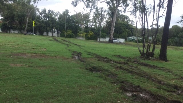 Turf destroyed in Brien Harris Oval in Ormeau by someone who wanted to get free fruit from Damien Van Twest. Supplied.