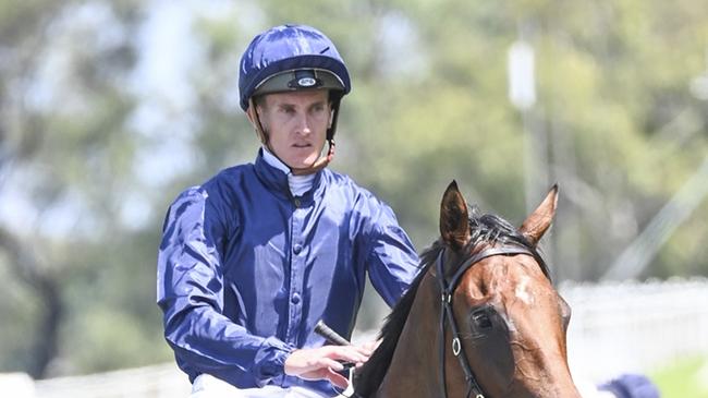 Chad Schofield and chasing a third consecutive win in the $2m Inglis Millennium when he rides Rue Du Royale at Rosehill on Saturday. Picture: Bradley Photos