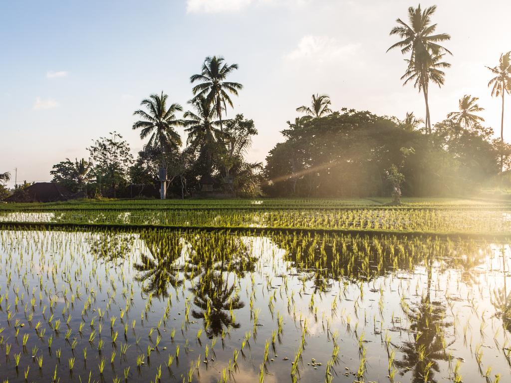 Marcia Langton spotted in Bali after crushing Voice referendum defeat ...