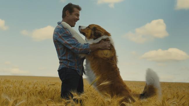 Dennis Quaid stars in A Dog's Journey.