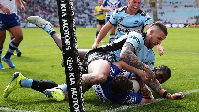 Can the Sharks win it all again? Picture: Brett Costello