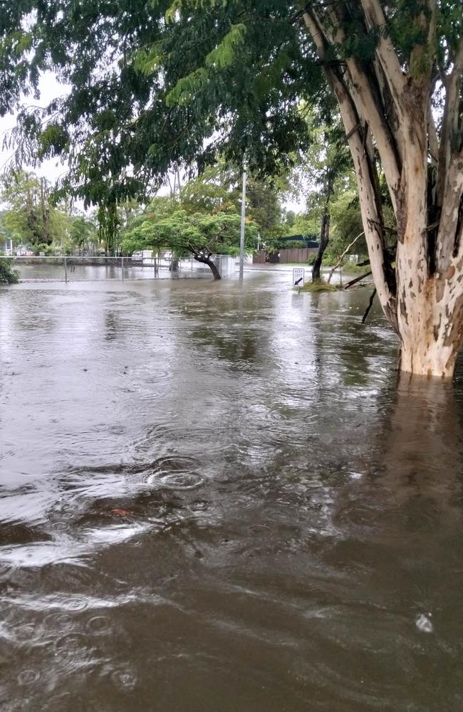 The road in front of Fiona Wilkinson's home in Currajong on Wednesday.