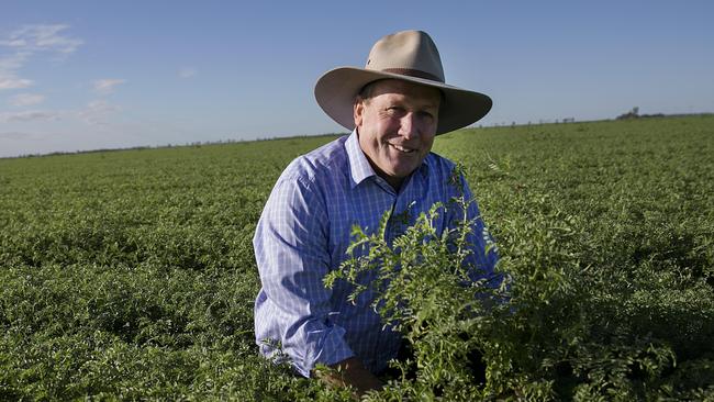 Western Downs Mayor Paul McVeigh hopes the big watermelon will attract tourists to Chinchilla. Pictures: Jack Tran