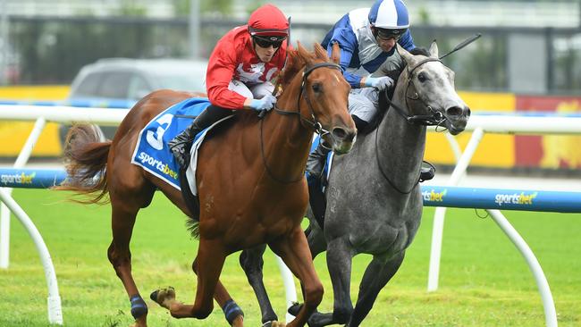 MELBOURNE, AUSTRALIA - FEBRUARY 08: Ethan Brown riding Palm Angel defeating Jamie Mott riding My Gladiola to win Race 5, the Sportsbet Blue Diamond Prelude Fillies during Melbourne Racing at Caulfield Racecourse on February 08, 2025 in Melbourne, Australia. (Photo by Vince Caligiuri/Getty Images)