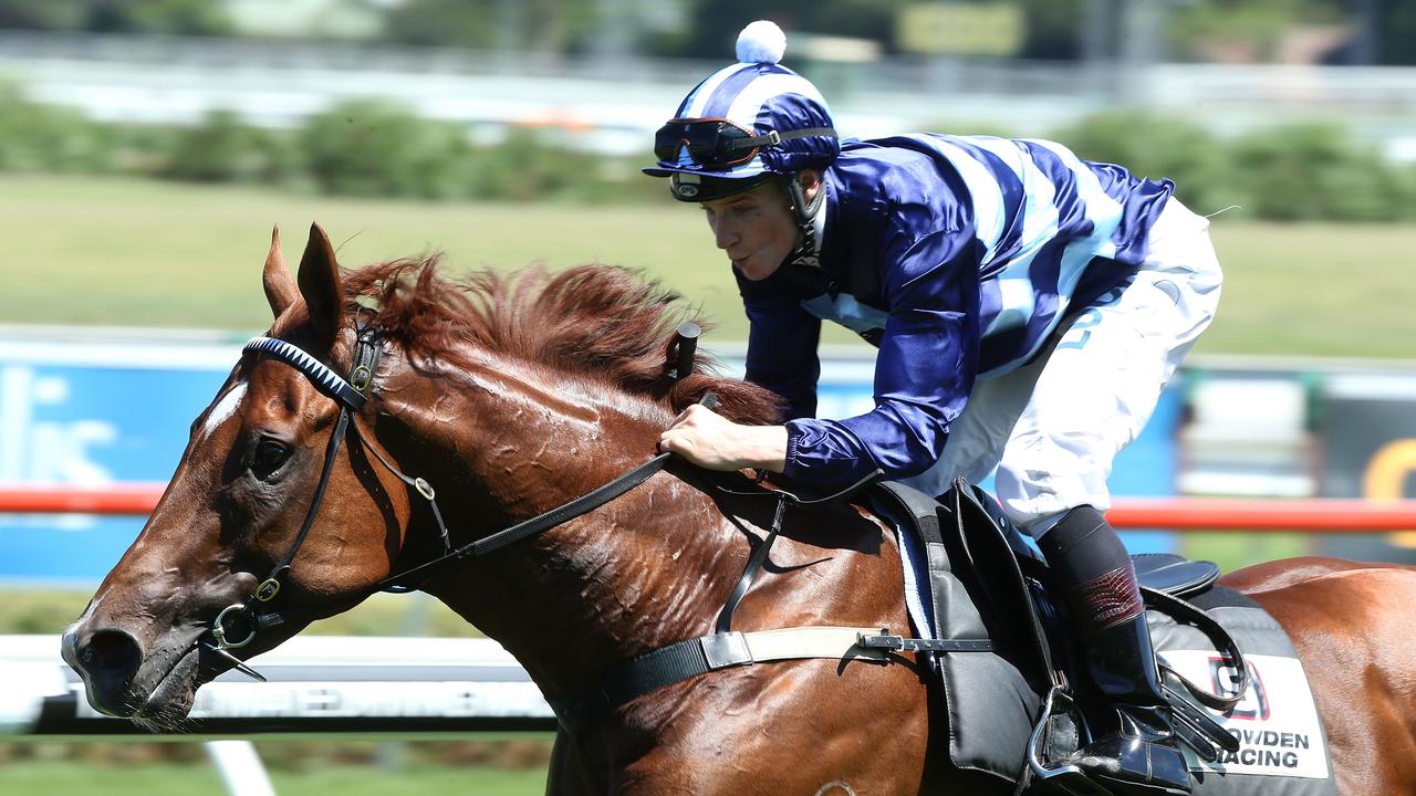 SYDNEY, AUSTRALIA - JANUARY 24: Exhibition gallop. James McDonald rides Shooting To Win during Sydney Racing at Royal Randwick Racecourse on January 24, 2015 in Sydney, Australia. (Photo by Anthony Johnson/Getty Images)