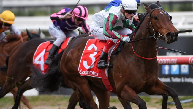 Craig Williams makes it a fab five in jockeys’ premiership despite ...