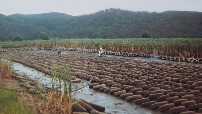 Jeffrey Brooks podcast. Supplied image of the Beenleigh Crayfish Farm in the mid-90s. - Photo Supplied Copyright Unknown