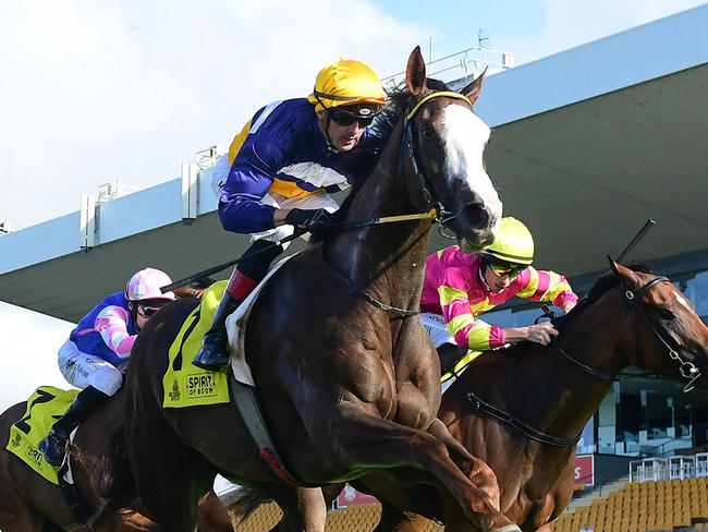 Abounding wins a Stakes race at Doomben on Wednesday for trainer Rob Heathcote and jockey Martin Harley. Picture: Grant Peters, Trackside Photography