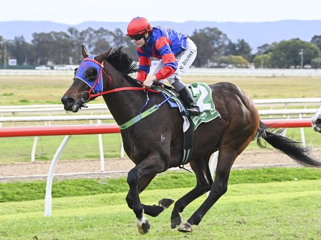 Gogmagog is looking for another first-up win when he resumes at Wyong. Picture: Bradley Photos