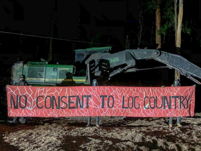 Protesters halt logging near Coffs Harbour at Wild Cattle Creek state forest on Tuesday May 15. The demonstration occured in the same forest in which Forestry Corporation was issued a stop work order after the destruction of two giant trees.