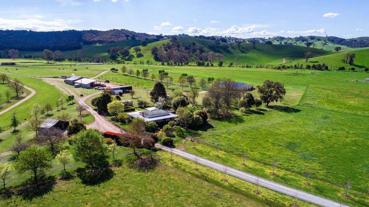 Rare offering: For the Anvil Angus stud near Taggerty, it will be the first time since settlement it has been offered for public sale.