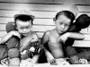 60 years of Waugh: Cricket’s greatest twins deciphered