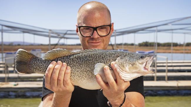 Celebrity chef Heston Blumenthal at the Aquna fish farm. Picture: Supplied