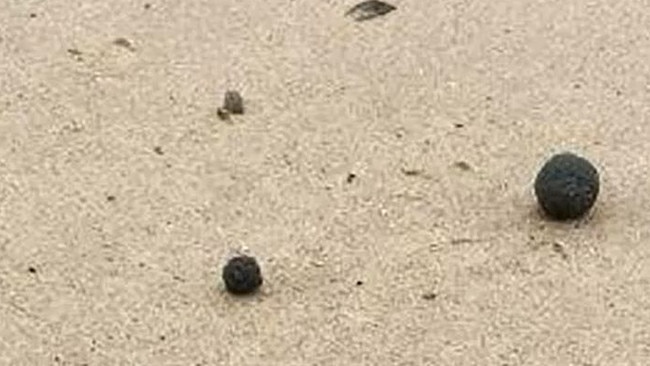 Randwick Council suspects they may be 'tar balls' which is formed when oil comes in to contact with debris and water. Picture: Nine News