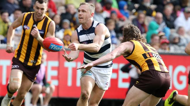 The Cats play the Hawks twice in 2019. Picture: Michael Klein