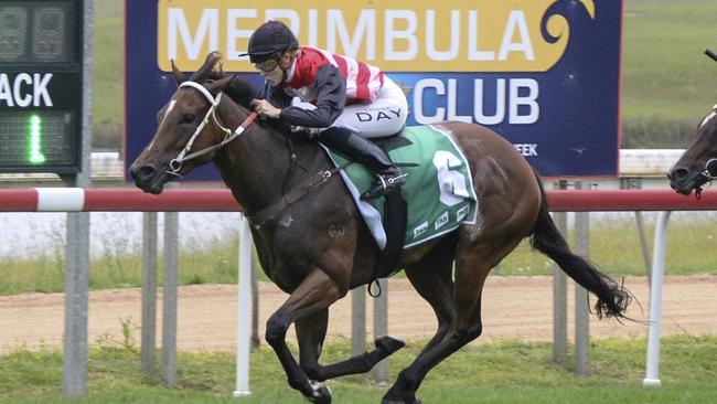 Cani Cancan is well placed to get back to winning form at Moruya. Picture: Bradley Photos