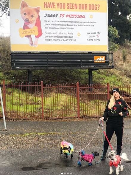 Ms Nolan with the billboard Picture: Instagram/uncannyannieblog