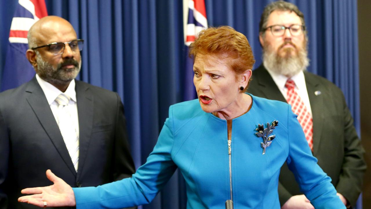 Pauline Hanson made a surprise move during a press conference on Wednesday. Photo: Steve Pohlner