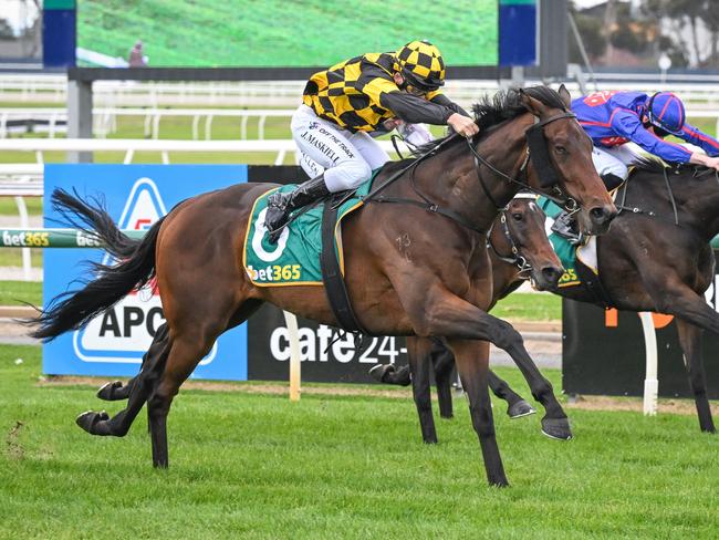 El Poder Del Sol (NZ) ridden by Jason Maskiell wins the Geelong Taxi Network Maiden Plate at Geelong Racecourse on April 12, 2024 in Geelong, Australia. (Reg Ryan/Racing Photos via Getty Images)