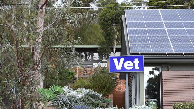 Eltham Vet Clinic has been “very busy” in the past two months with its owner noticing more dogs than usual with fight wounds.