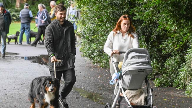 Million Paws Walk at Adelaide Botanic Gardens. Picture: Brenton Edwards