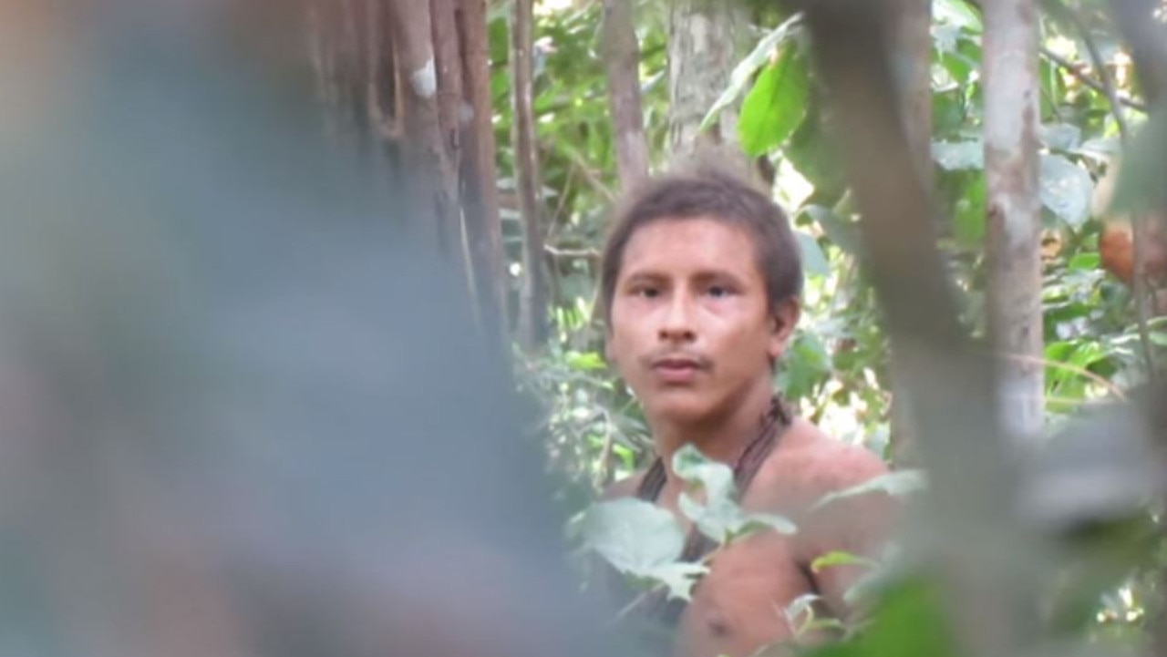 Amazon Tribe Rare Video Released Of Uncontacted Tribe In Rainforest Au — Australia’s