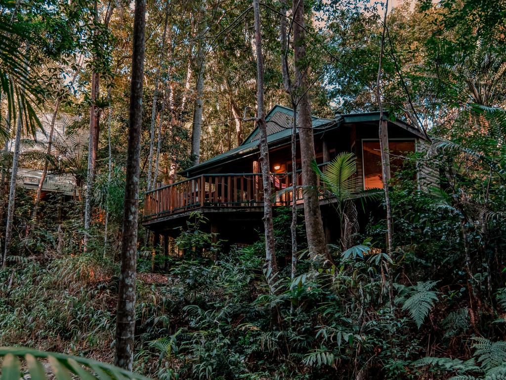 Narrows Escape Rainforest Retreat in Montville, Queensland | The Australian