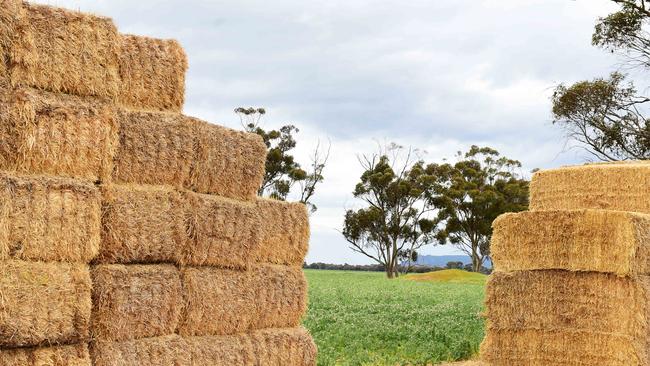 Shipped out: Hay export volumes continue to rise. Picture: Zoe Phillips