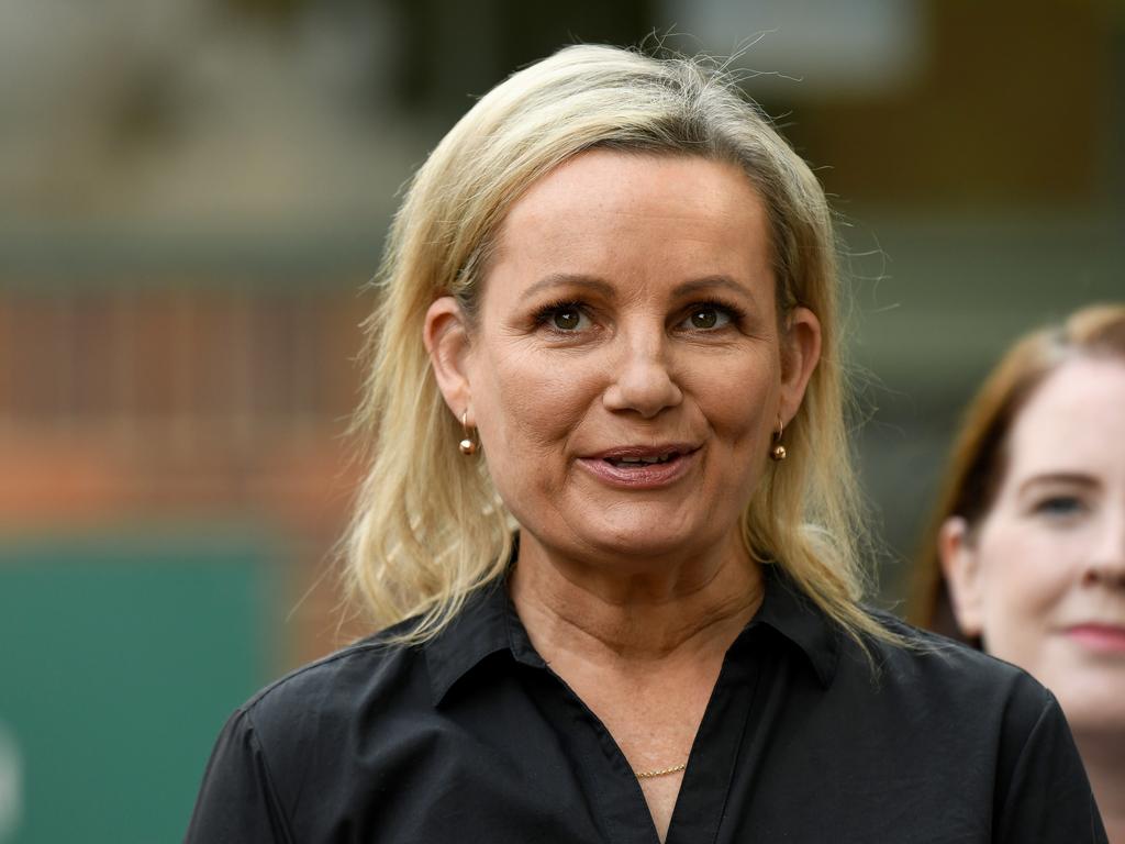 Environment Minister Sussan Ley. Picture: AAP Image/Bianca De Marchi