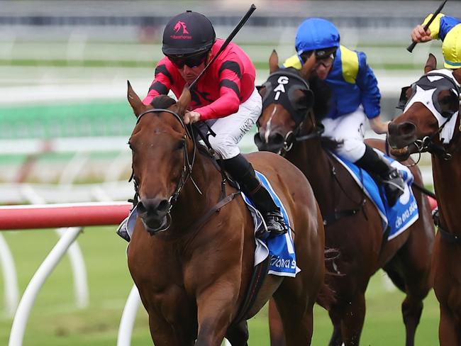 SYDNEY, AUSTRALIA - JANUARY 27: Nash Rawiller riding Glory Daze wins Race 4 Race A KIA Ora Bred Graduate during Sydney Racing at Royal Randwick Racecourse on January 27, 2024 in Sydney, Australia. (Photo by Jeremy Ng/Getty Images)